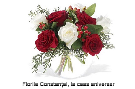 florii.jpg florii.jpg