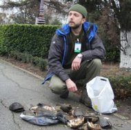 Dezastru ecologic in Delta