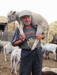 Sacrificarea mieilor provoaca haos