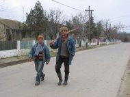 Bilant trimestrial in agricultura