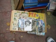 Victor Codreanu participa la mondialele filatelistilor