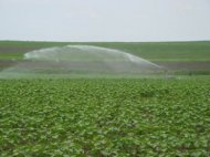 Autoritatile isi perfectioneaza managementul intern