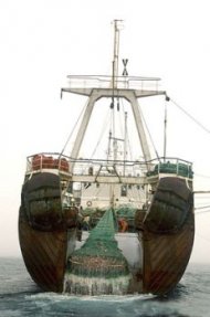 Cotele de pescuit ar putea fi aprobate saptamana aceasta