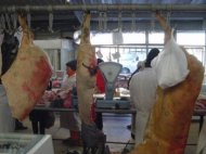 Carmangerii verificate de medicii veterinari