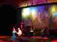 Spectacol de Craciun, pe muzica de Strauss