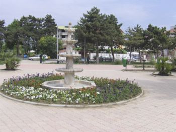 1207771368.jpg