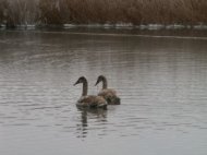 Lacurile care nu ingheata niciodata