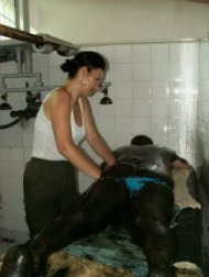 Namolul de Techirghiol rezolva infertilitatea