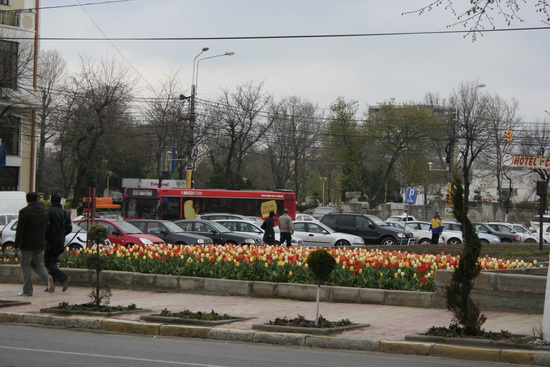 braduti.jpg