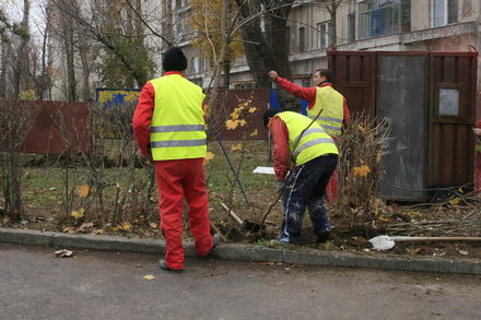 se reabiliteaza spatiile verzi 245342