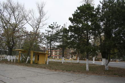 umbra lui sandu mazare isi face vila in mamaia 245497