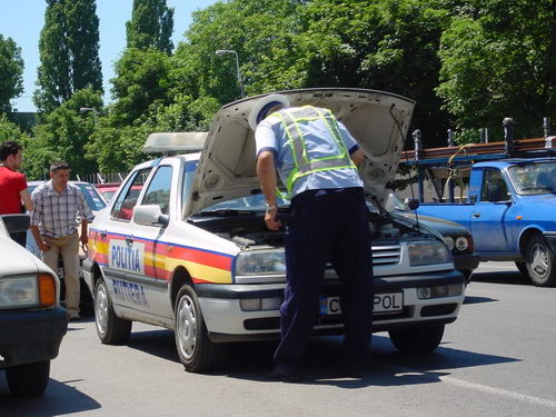 ce a surprins fotoreporterul nostru pe teren 247256