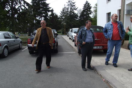 deputat colegiul 7 matei bratianu psd 245801