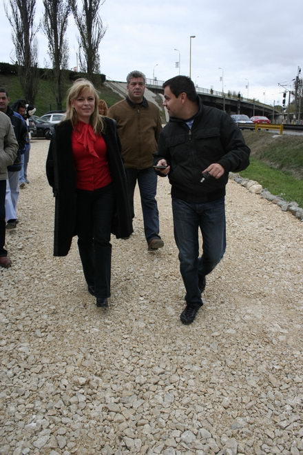 deputat colegiul 8 manuela mitrea psd 245802