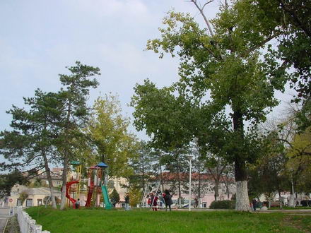 Cernavoda_parc.jpg Cernavoda_parc.jpg