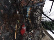 Doi copii au ars intr-un incendiu (galerie foto)