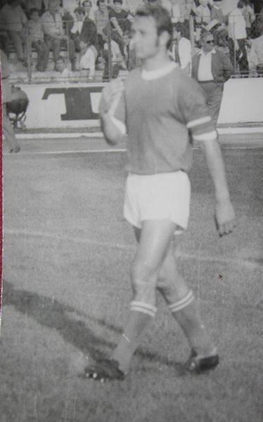 dumitru antonescu rica raducanu putea ajunge la farul galerie foto 250050
