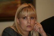 Elena Udrea vrea sa reinfiinteze clasele cu profil turistic