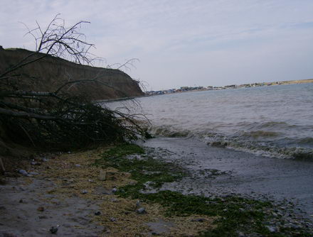 acvatoriului litoral marin vama veche 2mai 249846