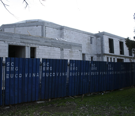 CAP_2_bucovina.jpg