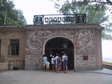 acvariu5.jpg