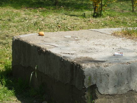 parcuri_2.jpg