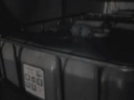 S-a oprit dupa ce a fost somat cu focuri de arma (galerie foto)