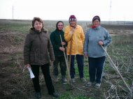 Strategia de dezvoltare a comunei Pecineaga, supusa dezbaterii publice