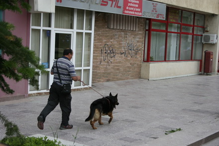 primul jaf armat intr o banca din constanta galerie foto 32726 255848