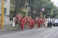 Cai si camile, pe bulevardele Constantei (galerie foto)