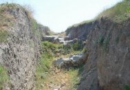 Lista siturilor care-l incurca pe Berceanu