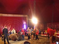 Circul Americano, amendat cu 2.000 lei 