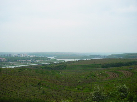 cernavoda_panorama2__terenu.jpg