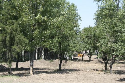 parcul sa se cheme radu mazare galerie foto 10481 260732