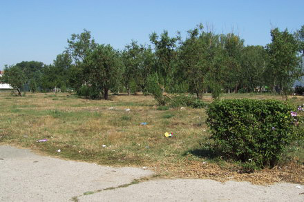spatii_verzi.jpg