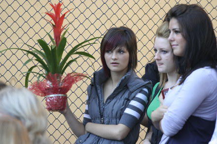 invataturile lui mazare catre elevi nu eram tocilar alergam dupa gagici galerie foto 26508 262270