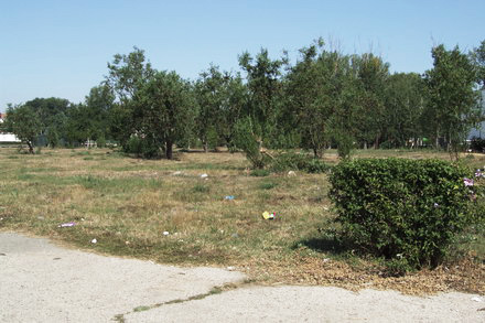 parc.jpg