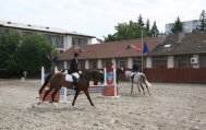 „Cupa Steaua” la calarie si dresaj