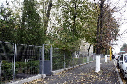 pomii de pe bratianu au fost asfaltati galerie foto 32811 265418