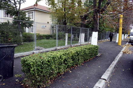 pomii de pe bratianu au fost asfaltati galerie foto 32811 265418