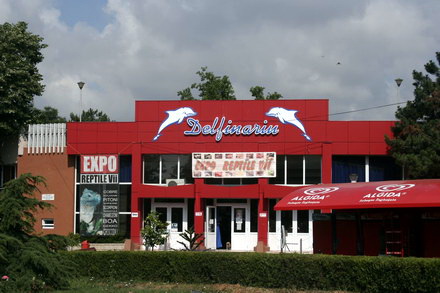 delfinariu_04.jpg