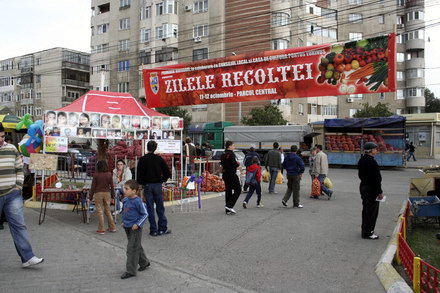 navodari_ziua_recoltei_19.jpg navodari_ziua_recoltei_19.jpg