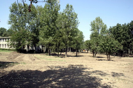 parc_cet.jpg parc_cet.jpg