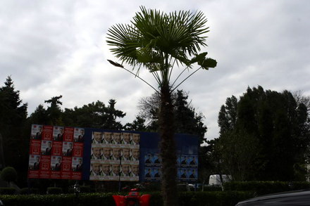 fotoreportaj uite ce afise si banare si au tras candidatii 69636 265972