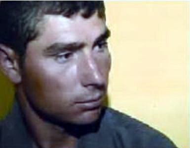 viol_catalin_mihalache.jpg viol_catalin_mihalache.jpg