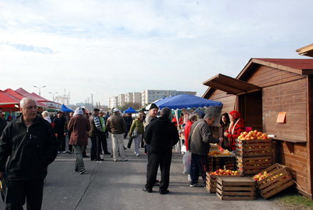 dsc_2512.jpg dsc_2512.jpg