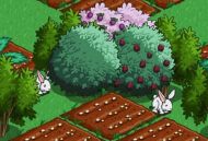 Fermierii epocii online FarmVille, jocul care a acaparat internautii romani