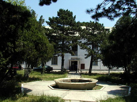 psihiatrie_palazu_mare.jpg psihiatrie_palazu_mare.jpg