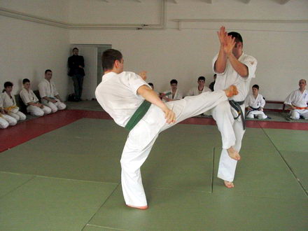 karate.jpg