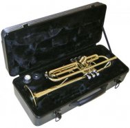 S-a stins din viata trompetistul Vasile Postolache